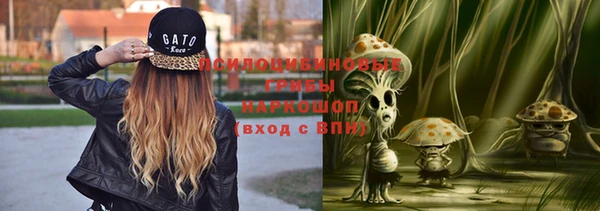 гидра Володарск