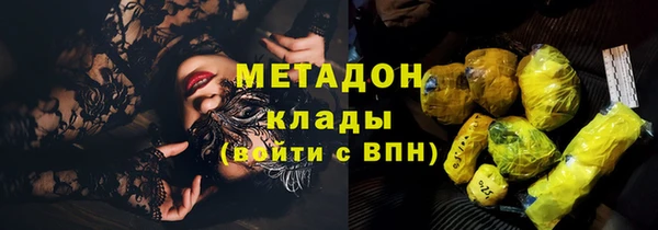 гидра Володарск