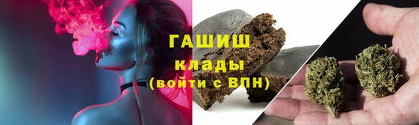 гидра Володарск