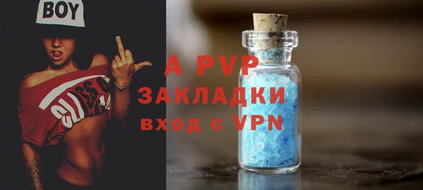 гидра Володарск