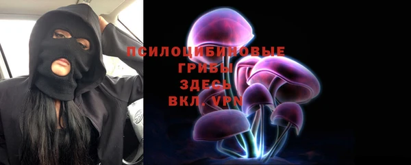 гидра Володарск