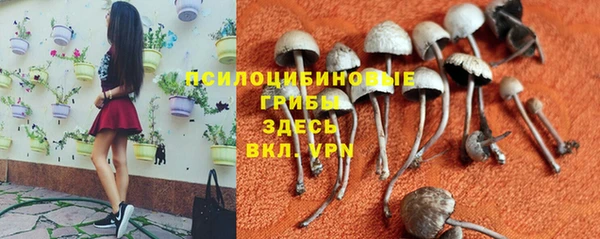 ECSTASY Пересвет