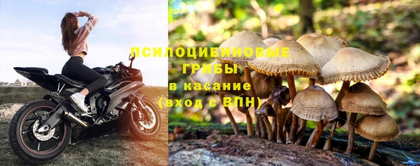 гидра Володарск